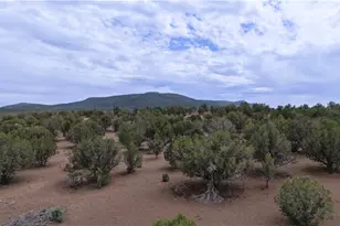 44050 W Fort Rock Rd, Seligman, AZ 86337 - Photo 29