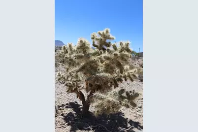 470 Silver Creek Road, Meadview, AZ 86444 - Photo 5