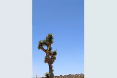 470 Silver Creek Road, Meadview, AZ 86444 - Photo 23