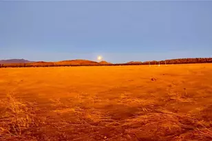 9570 Fietz Ave, Golden Valley, AZ 86413 - Photo 45