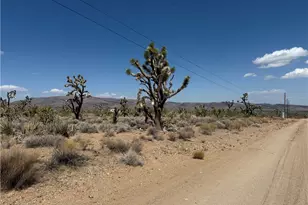 18432 Saddle Dr, Dolan Springs, AZ 86441 - Photo 1