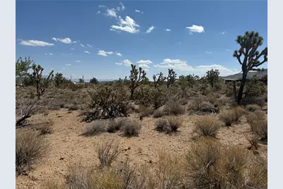 18432 Saddle Drive, Dolan Springs, AZ 86441 - Photo 5