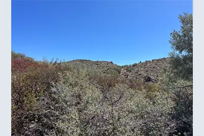 135 N Velvet Antler Road, Kingman, AZ 86401 - Photo 13