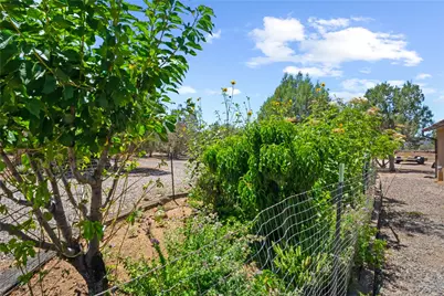 19205 E Mesa View Trail, Kingman, AZ 86401 - Photo 23