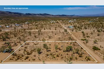 328 Quesnel, Dolan Springs, AZ 86441 - Photo 9