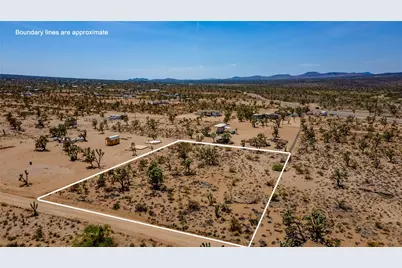 328 Quesnel, Dolan Springs, AZ 86441 - Photo 3