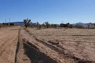 21284 N Ventura Dr, White Hills, AZ 86445 - Photo 1