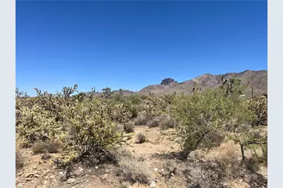 319-13-351 Lakeside Drive, Dolan Springs, AZ 86441 - Photo 5