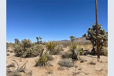 319-13-351 Lakeside Drive, Dolan Springs, AZ 86441 - Photo 3