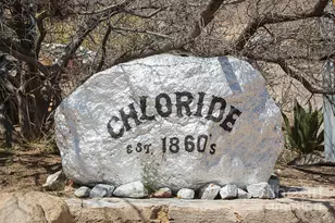 4868 W Tennessee Ave, Chloride, AZ 86431 - Photo 19