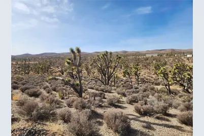 336-09-421A N Tamarisk & Rainbow, Meadview, AZ 86444 - Photo 7