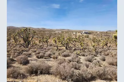 336-09-421A N Tamarisk & Rainbow, Meadview, AZ 86444 - Photo 5
