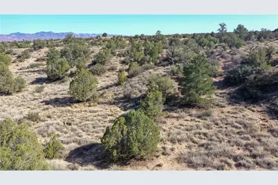 2268 S Towhee Ridge, Kingman, AZ 86401 - Photo 7