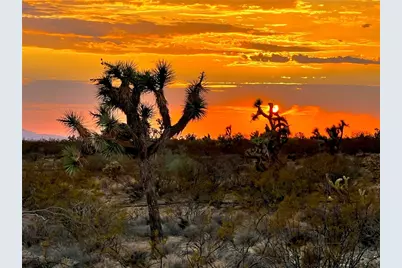 287 S Diamondback Road, Yucca, AZ 86438 - Photo 9