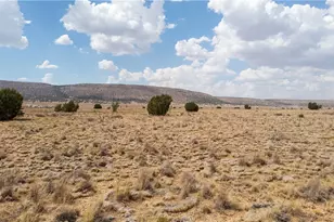 53177 N Arroyo Dr, Seligman, AZ 86337 - Photo 1