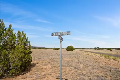 53236 N Saddlerock Drive, Seligman, AZ 86337 - Photo 33