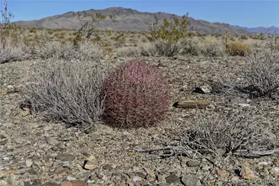 6 Lots Thunder Rapids Drive, Meadview, AZ 86444 - Photo 3