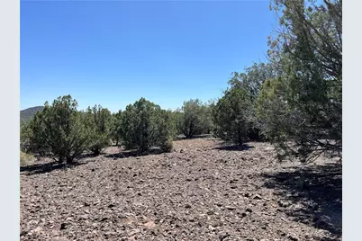 243 N Kit Fox Trail, Kingman, AZ 86401 - Photo 3
