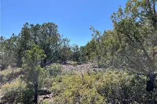 243 N Kit Fox Trail, Kingman, AZ 86401 - Photo 1