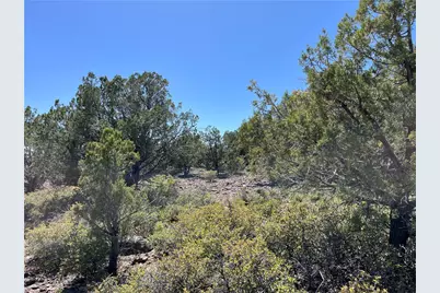 243 N Kit Fox Trail, Kingman, AZ 86401 - Photo 1