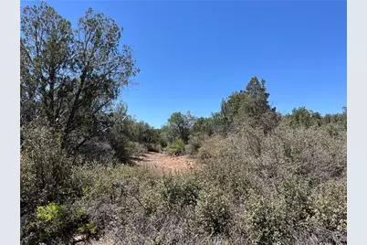 243 N Kit Fox Trail, Kingman, AZ 86401 - Photo 9