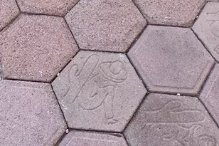 3350 Park Ridge Ave, Bullhead City, AZ 86429 - Photo 55