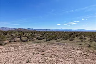 5874 Ehrenburg Dr, Golden Valley, AZ 86413 - Photo 43