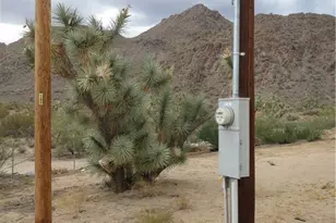 11964 Nolan Rd, Yucca, AZ 86438 - Photo 23