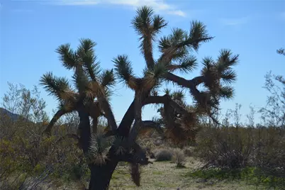 Lot 3 Bush Road, Yucca, AZ 86438 - Photo 75