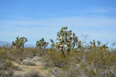 Lot 3 Bush Road, Yucca, AZ 86438 - Photo 57