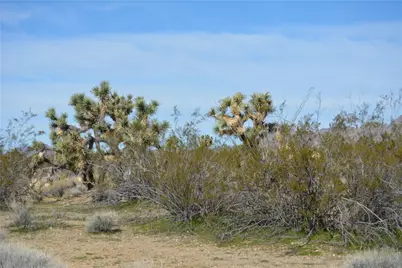 Lot 3 Bush Road, Yucca, AZ 86438 - Photo 67