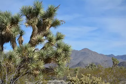 Lot 3 Bush Road, Yucca, AZ 86438 - Photo 5