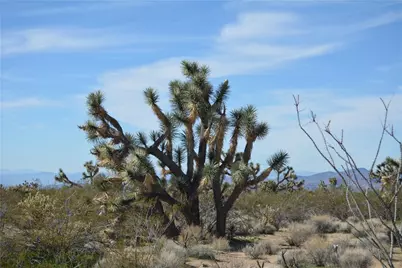 Lot 3 Bush Road, Yucca, AZ 86438 - Photo 63