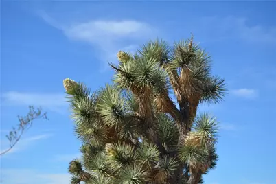 Lot 3 Bush Road, Yucca, AZ 86438 - Photo 77