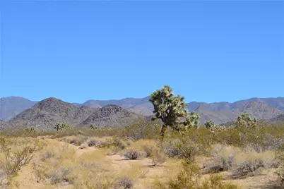 Lot 3 Bush Road, Yucca, AZ 86438 - Photo 21