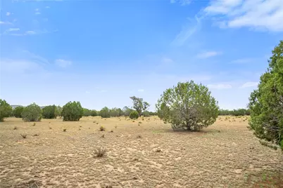 160 Acres Harris Valley Ranch Road, Seligman, AZ 86337 - Photo 41