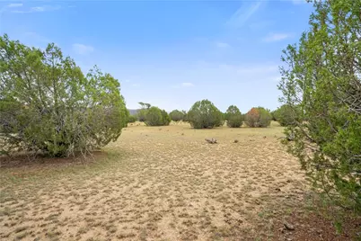 160 Acres Harris Valley Ranch Road, Seligman, AZ 86337 - Photo 39