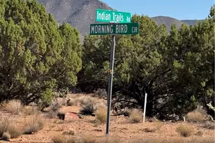 353-36-178 E Morning Bird Circle, Hackberry, AZ 86411 - Photo 1