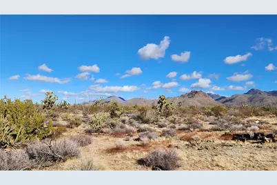 166 S Cattle Crossing Road, Yucca, AZ 86438 - Photo 19