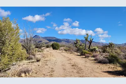 166 S Cattle Crossing Road, Yucca, AZ 86438 - Photo 23