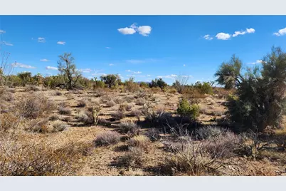 166 S Cattle Crossing Road, Yucca, AZ 86438 - Photo 31