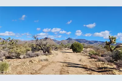 166 S Cattle Crossing Road, Yucca, AZ 86438 - Photo 17