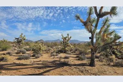 166 S Cattle Crossing Road, Yucca, AZ 86438 - Photo 13