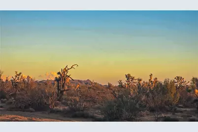 166 S Cattle Crossing Road, Yucca, AZ 86438 - Photo 7