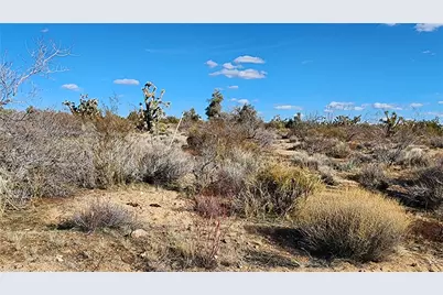 166 S Cattle Crossing Road, Yucca, AZ 86438 - Photo 33