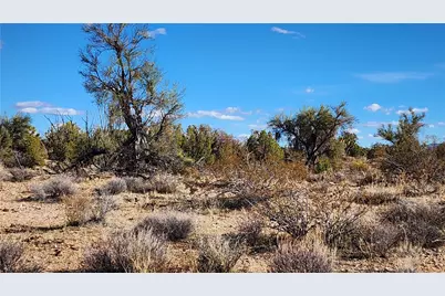 166 S Cattle Crossing Road, Yucca, AZ 86438 - Photo 33
