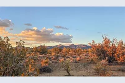 166 S Cattle Crossing Road, Yucca, AZ 86438 - Photo 5