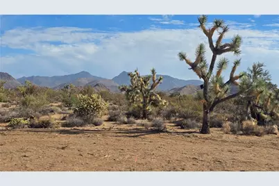 166 S Cattle Crossing Road, Yucca, AZ 86438 - Photo 3