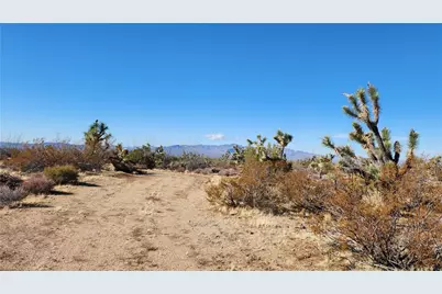 166 S Cattle Crossing Road, Yucca, AZ 86438 - Photo 27