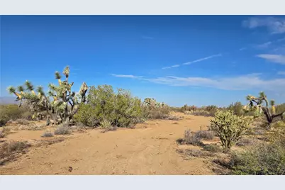 166 S Cattle Crossing Road, Yucca, AZ 86438 - Photo 17
